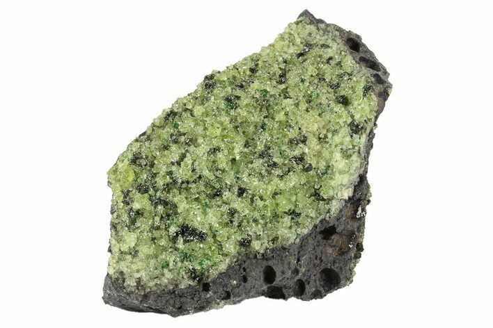 Peridot in Basalt - Arizona #247752